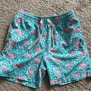 Chubbies Teal & Pink Flamingo Youth Swim Shorts “The Damingos Are For Flamingos”